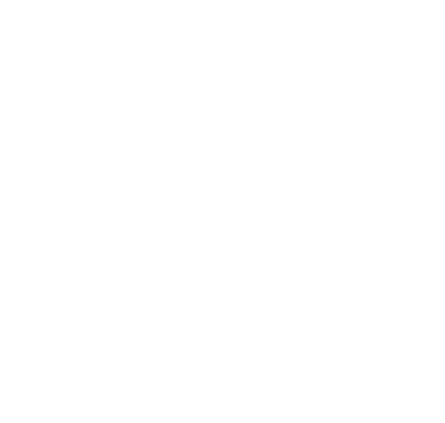Vamo Cars
